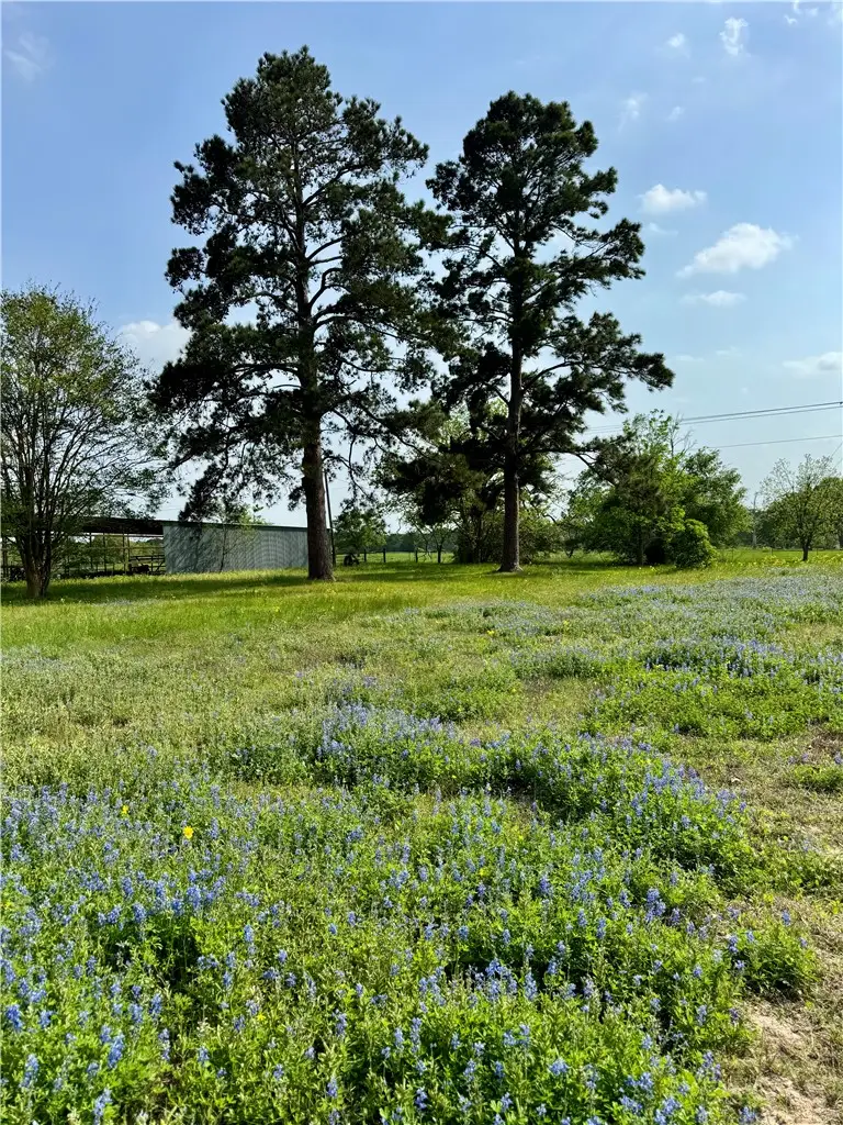 15420 Arhopulos Road, College Station, TX 77845 - #3