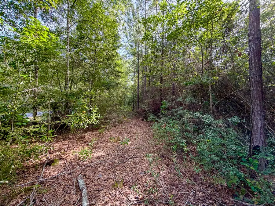 08 Fm 787, Saratoga Batson, TX 77585 - #3