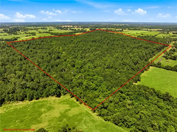 118.25 Acres Cr 278c, Anderson, TX 77830