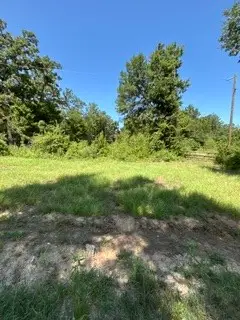TBD Cr 488, Normangee, TX 77871 - #2