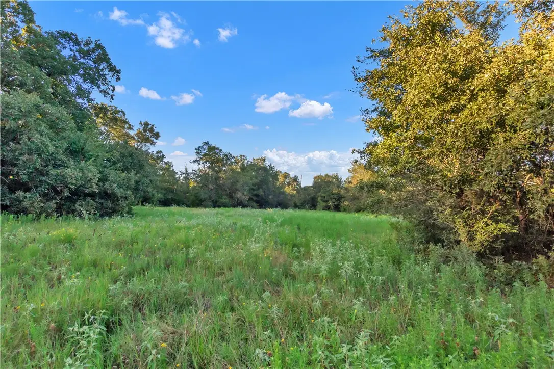 0000 Cr355 Loop & Cr356, Gause, TX 77857 - #1