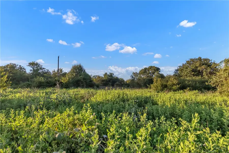 0000 Cr355 Loop & Cr356, Gause, TX 77857 - #3