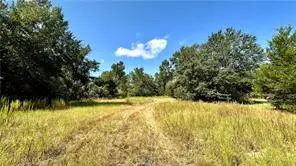 1178 Pin Oak Road, Franklin, TX 77856 - #3