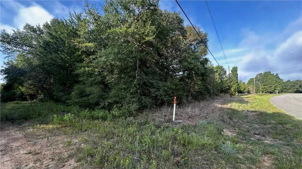 TBD Overhill Circle, Hilltop Lakes, TX 77871 - #1