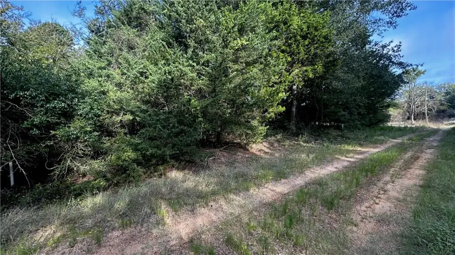 TBD Overhill Circle, Hilltop Lakes, TX 77871 - #2