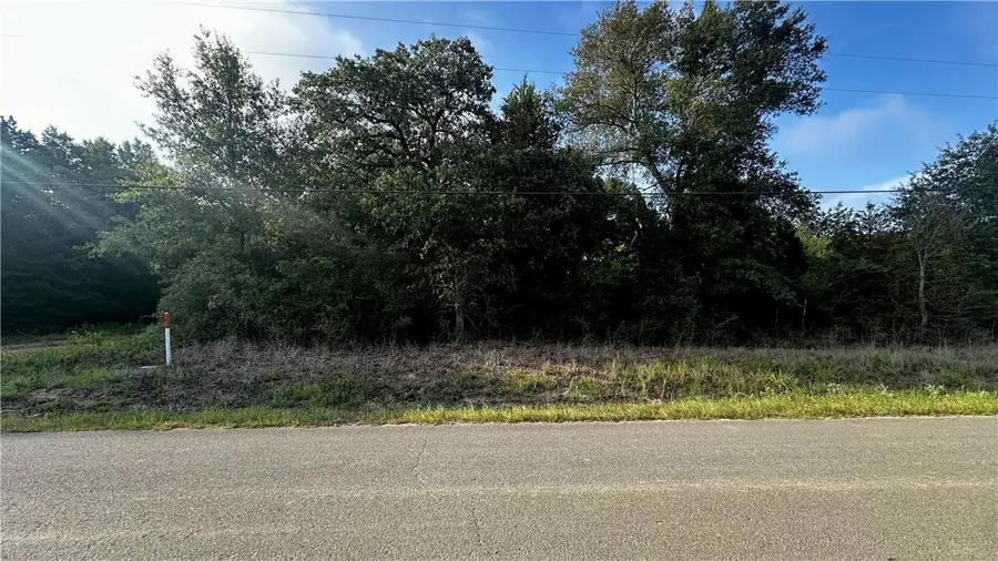 TBD Overhill Circle, Hilltop Lakes, TX 77871 - #3