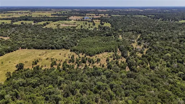 5151 Springfield, Normangee, TX 77871