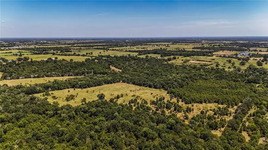 5151 Springfield, Normangee, TX 77871 - #2