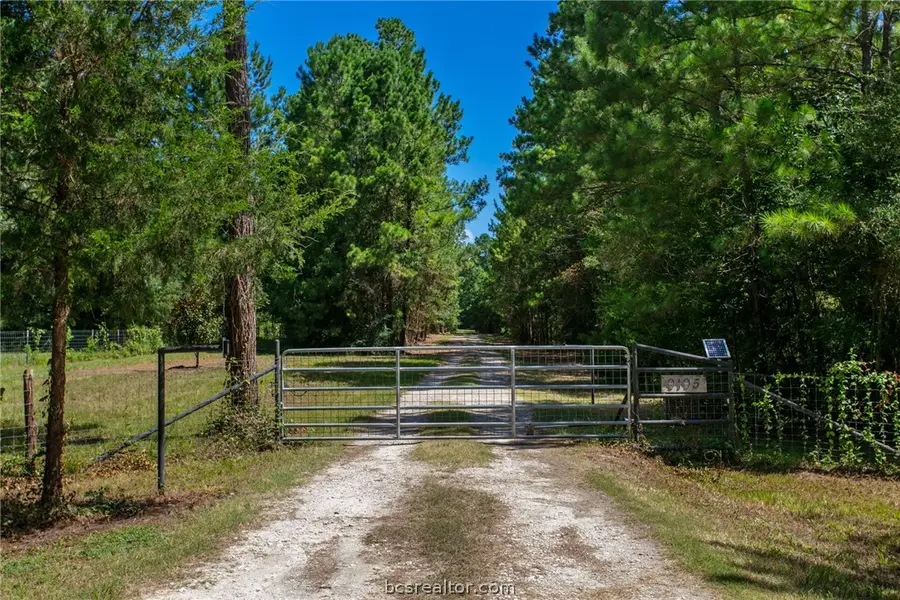 9195 County Road 207 Countyroad, Plantersville, TX 77363 - #3