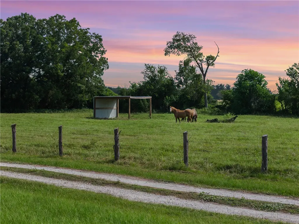 11043 County Road 336, Caldwell, TX 77836 - #1