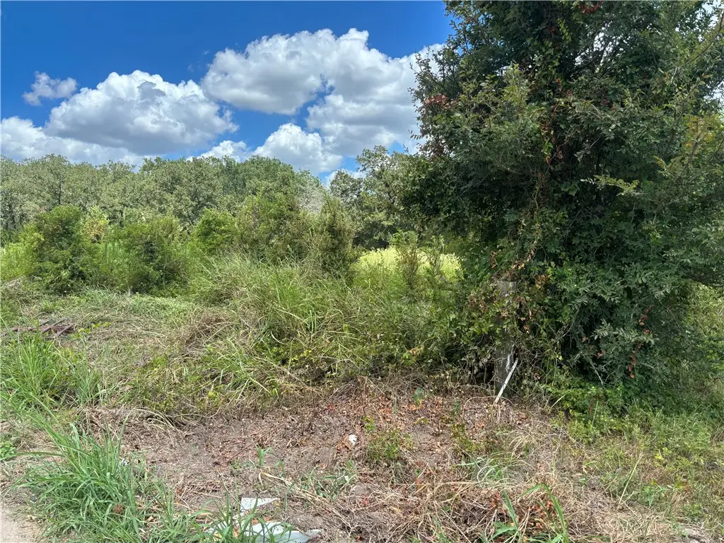 6018 Straub, College Station, TX 77845 - #1