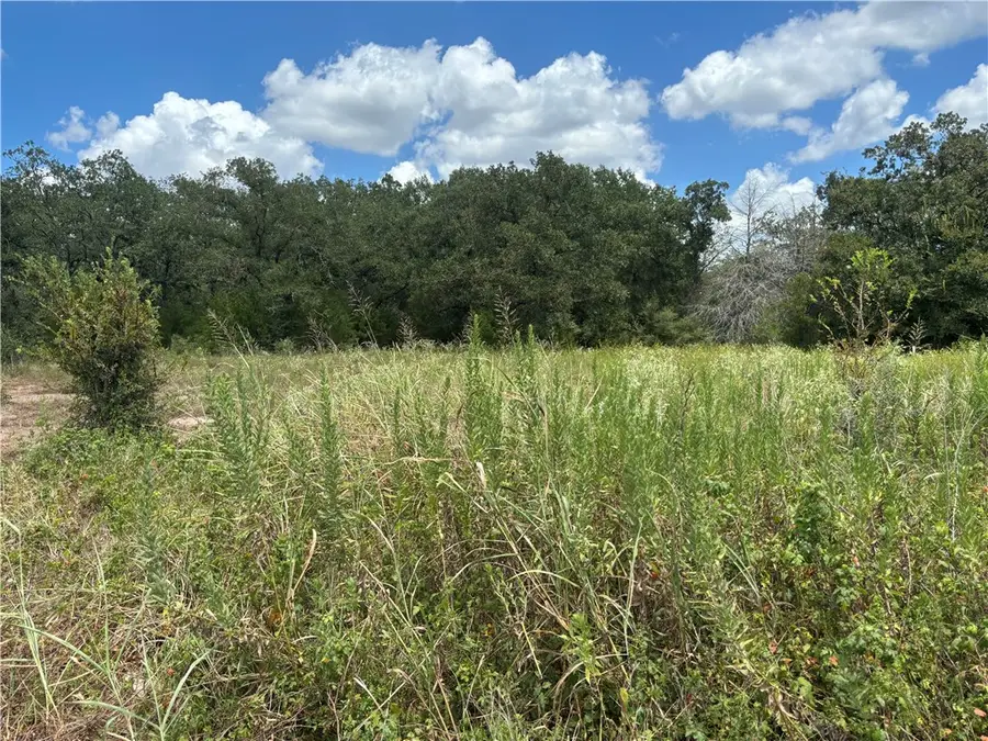6018 Straub, College Station, TX 77845 - #3