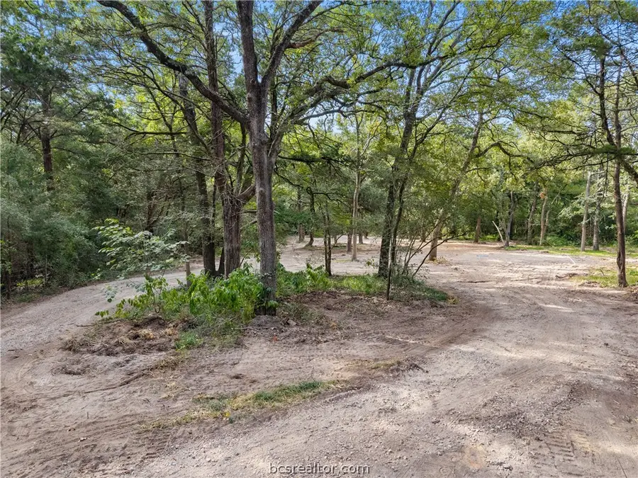 21105 Fm 159, Millican, TX 77866 - #3