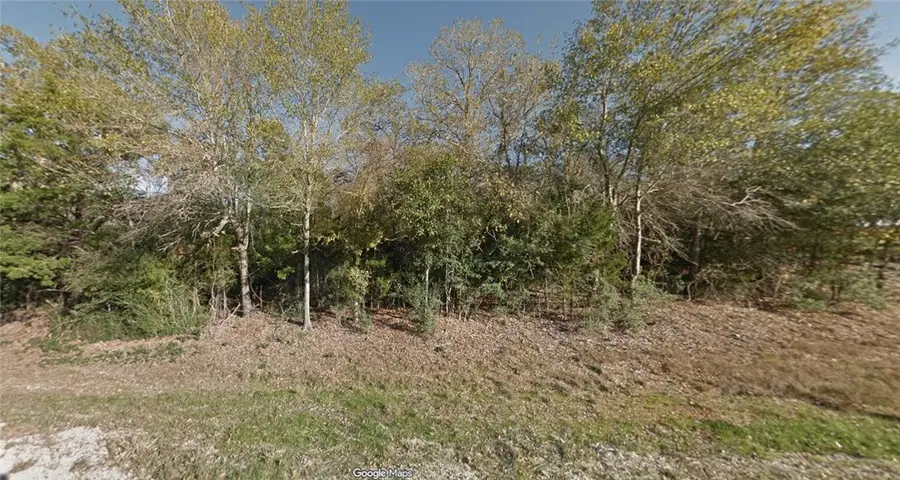 TBD Old Reliance Road, Bryan, TX 77808 - #3