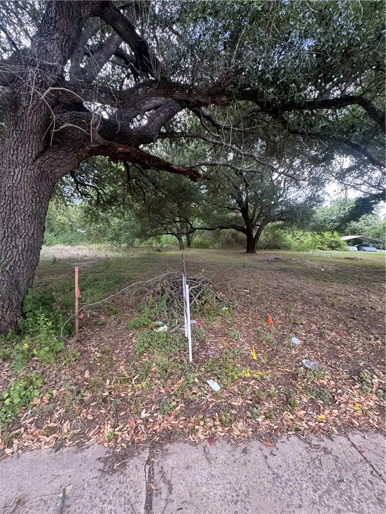 710 E Martin Luther King Jr Street, Bryan, TX 77803 - #3