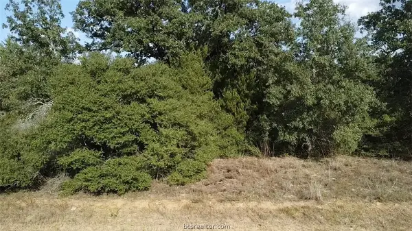 TBD Holly Springs Drive, Hilltop Lakes, TX 77871