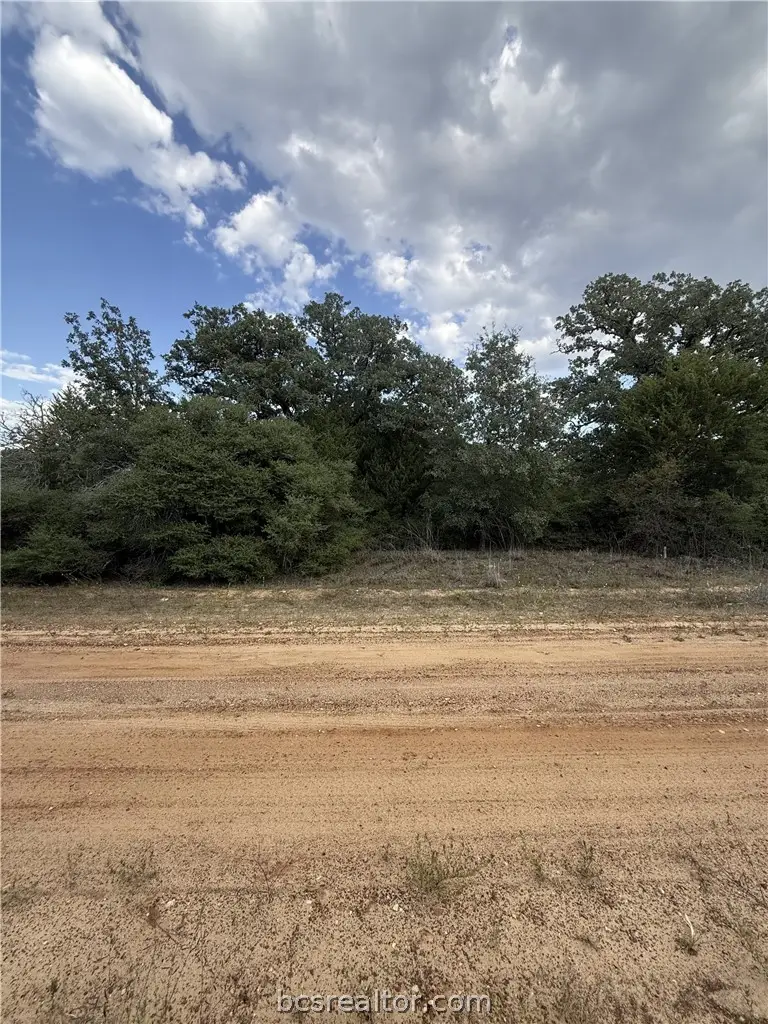 TBD Holly Springs Drive, Hilltop Lakes, TX 77871 - #2