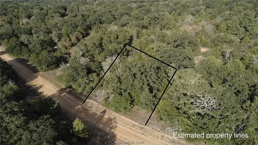 TBD Holly Springs Drive, Hilltop Lakes, TX 77871 - #3