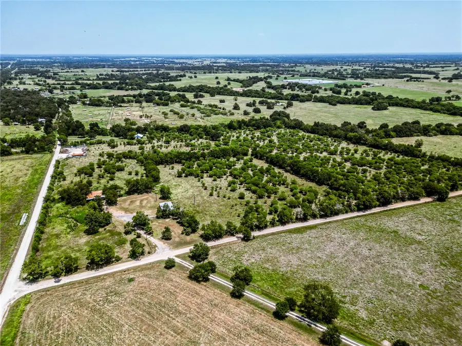 12224 Jinkins Road E, North Zulch, TX 77872 - #3