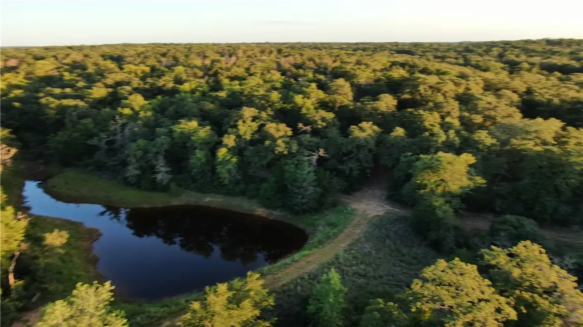 1004 22 Hills Rd, Gause, TX 77857 - #1