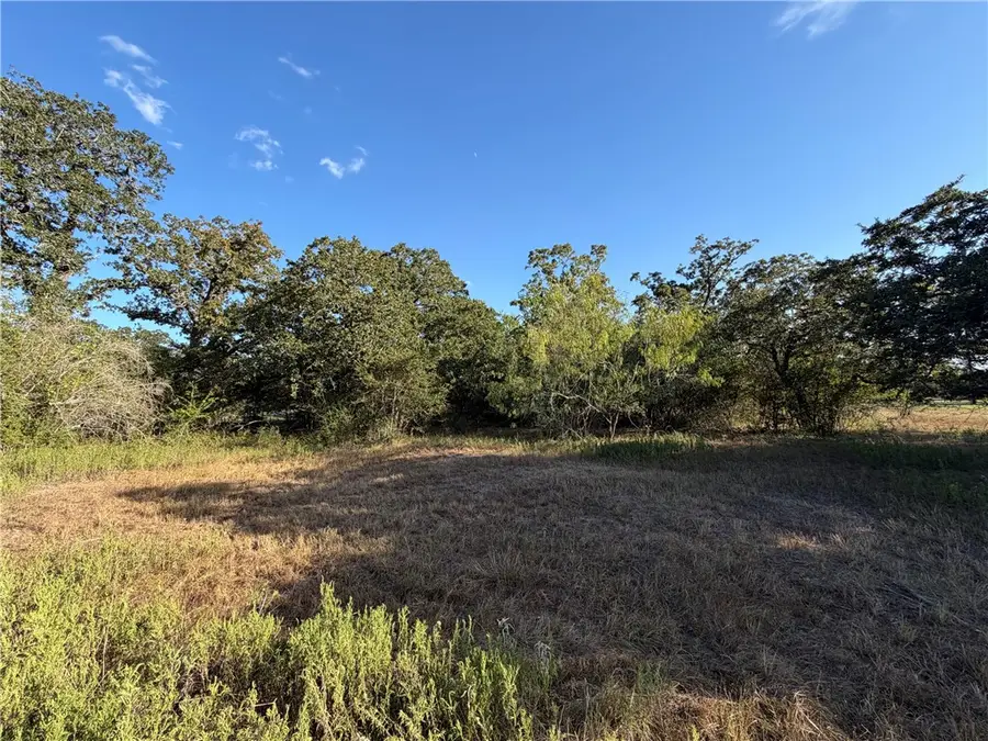 Lot 4 Little Brave Trail, College Station, TX 77845 - #2
