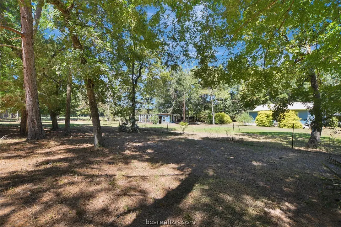 147 Catechis Countyroad, Huntsville, TX 77320 - #1