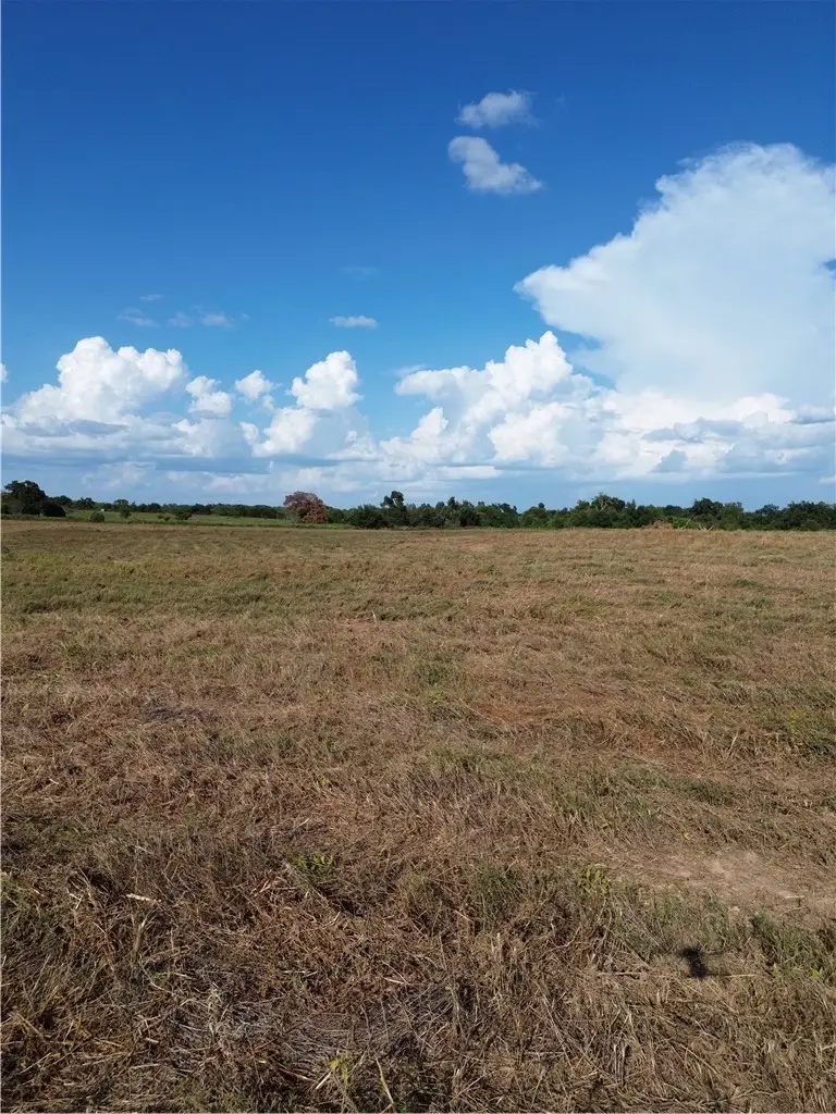 0 Grant Prairie, Franklin, TX 77856 - #3