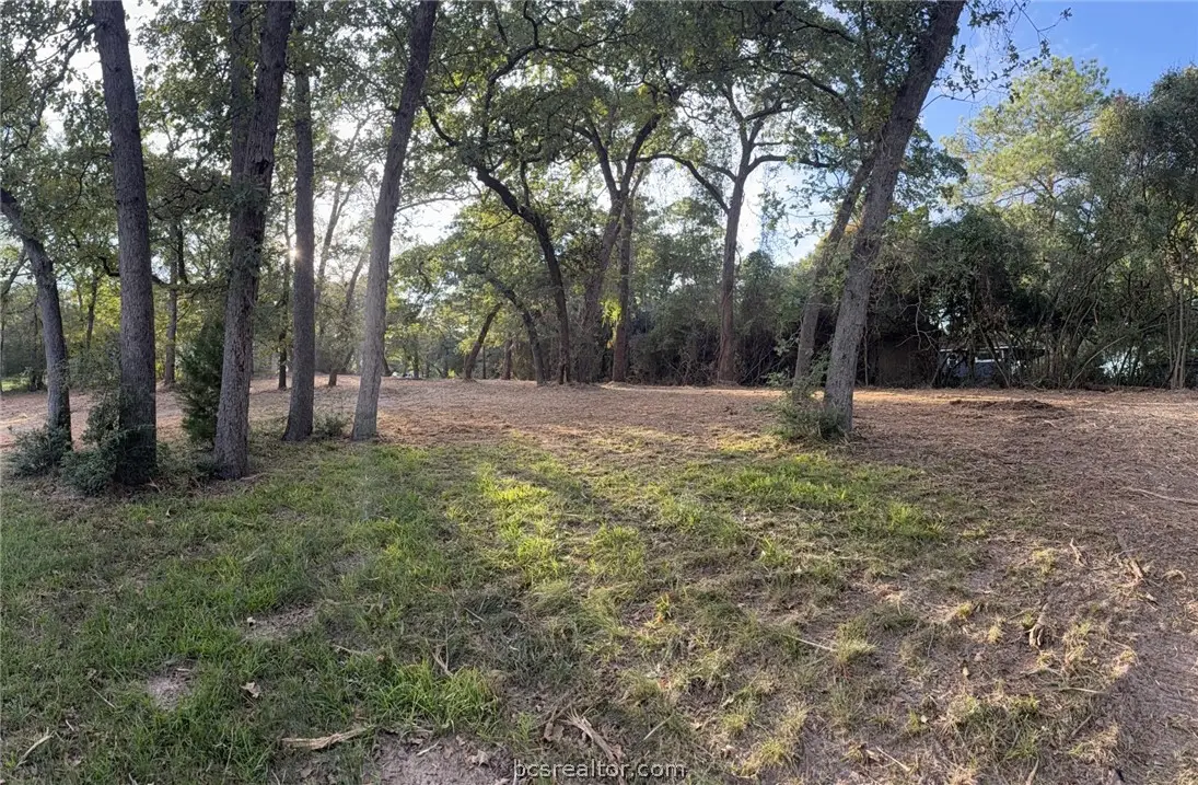 9389 Haney Road, Franklin, TX 77856 - #1