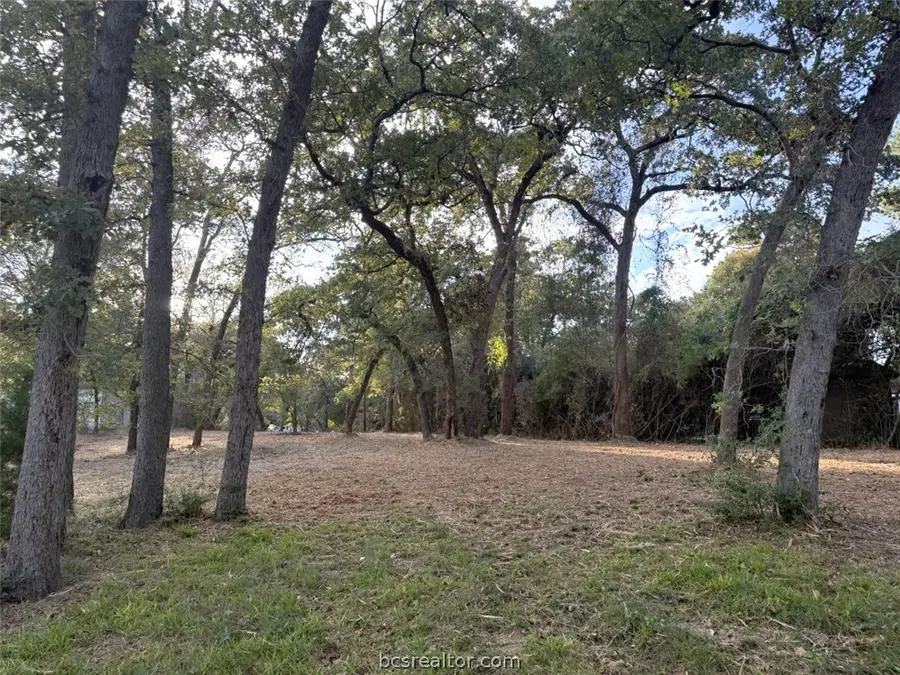 9389 Haney Road, Franklin, TX 77856 - #3