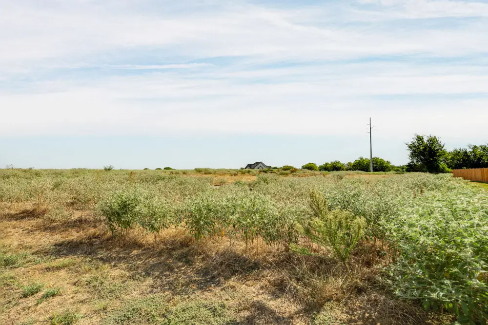 4555 Ruger Way, Bryan, TX 77808 - #1