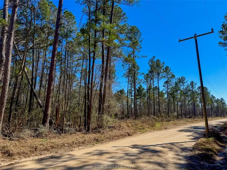 T-1 Boontown Road, Trinity, TX 75845 - #2