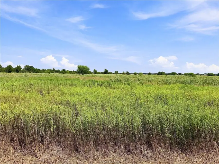 4556 Deadwood Lane, Bryan, TX 77808 - #3