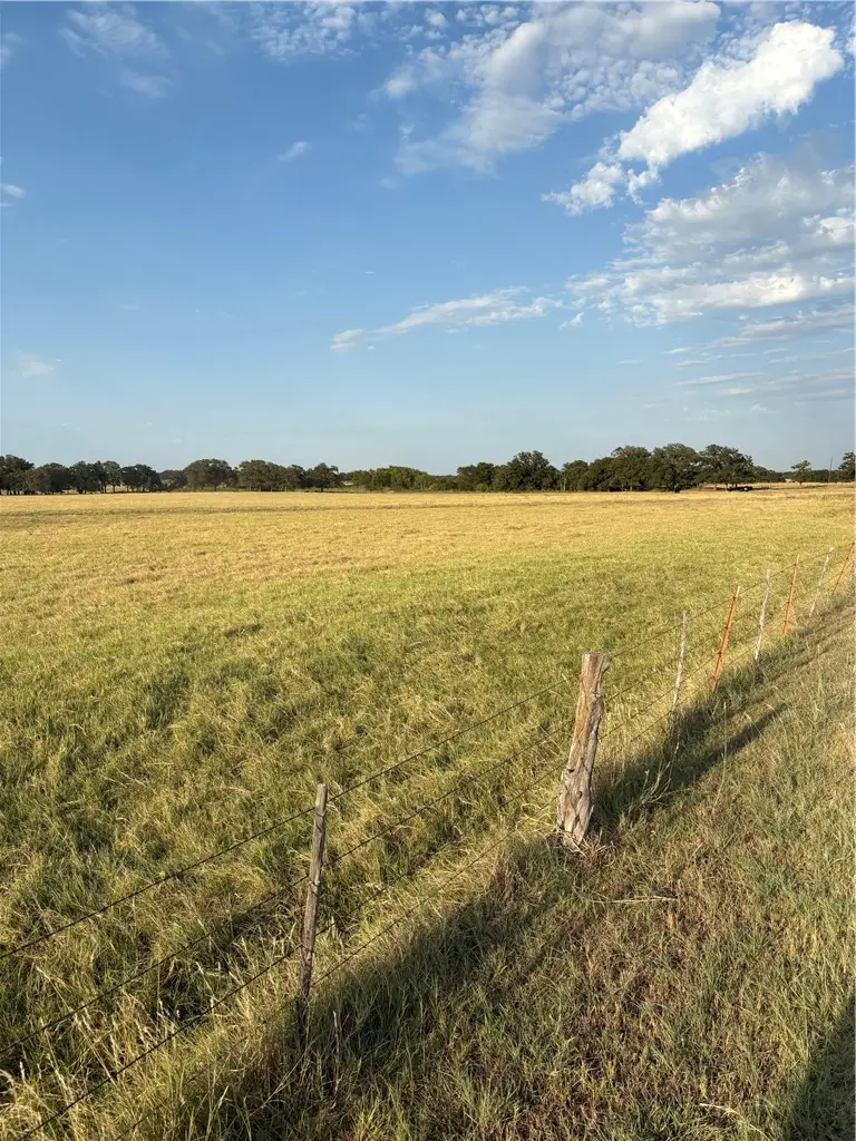 11517 Highway 183, Rising Star, TX 76471 - #2
