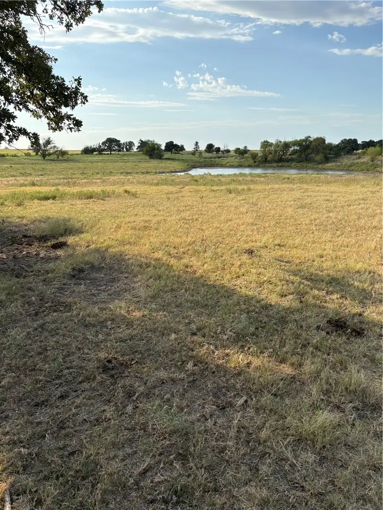 8418 Hwy 183, Cisco, TX 76437 - #2