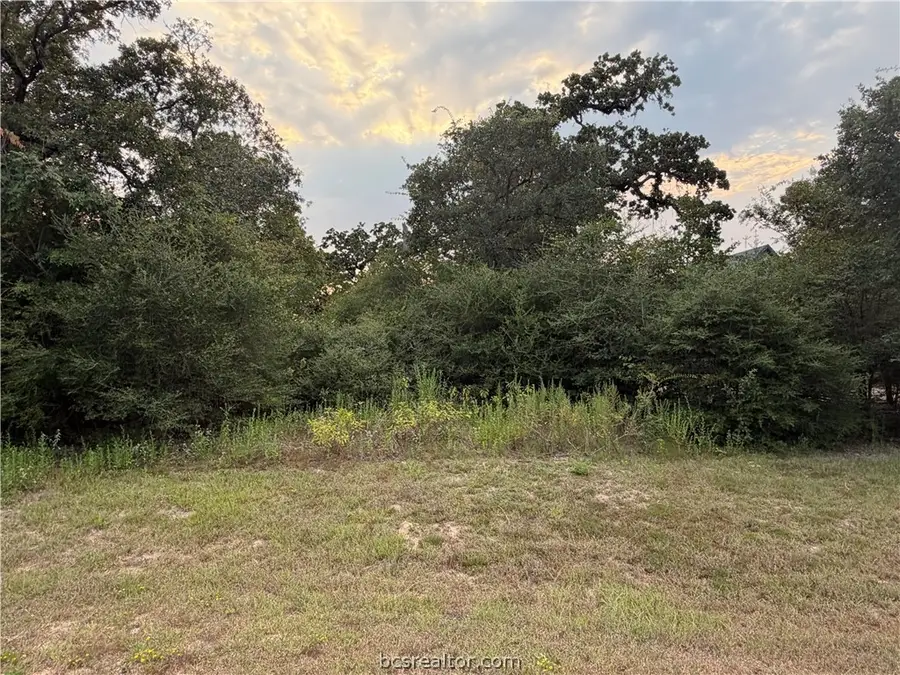 9467 Windsor Avenue, Iola, TX 77861 - #2