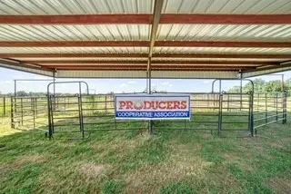 24644 Old Highway 6, Navasota, TX 77868 - #3