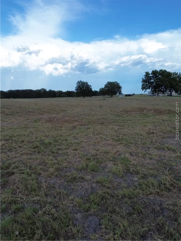 0 Grant Prairie Rd, Franklin, TX 77856 - #3