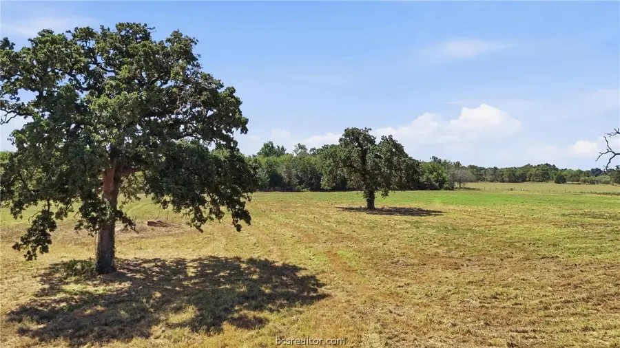 10.51 Acres Fm 979, Franklin, TX 77856 - #3