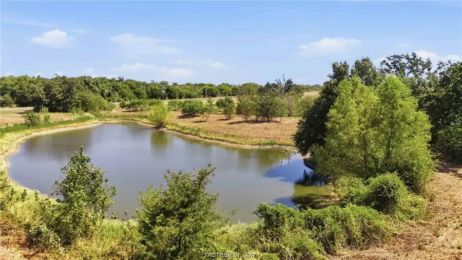 15.85 Acres Little Mississippi Road, Franklin, TX 77856 - #2