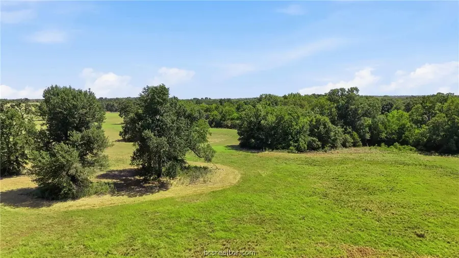 15.18 Acres Little Mississippi Road, Franklin, TX 77856 - #2