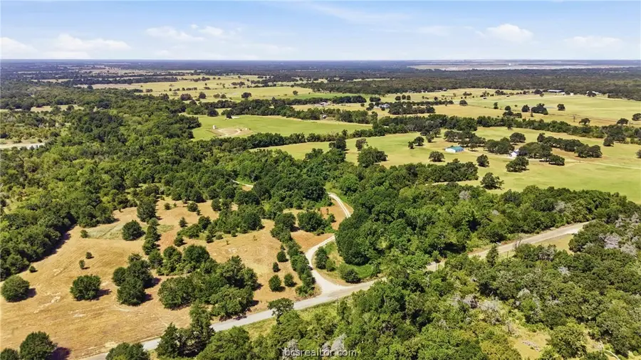 23.69 Acres Little Mississippi Road, Franklin, TX 77856 - #2