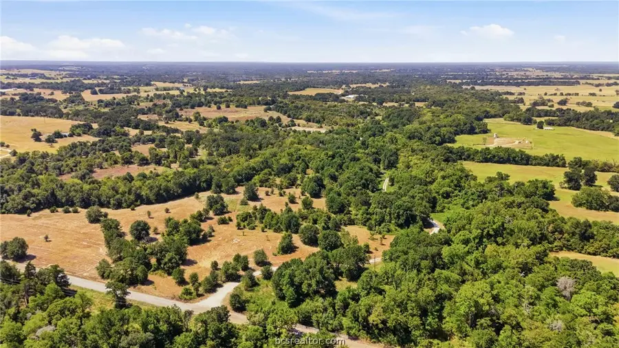 23.69 Acres Little Mississippi Road, Franklin, TX 77856 - #3