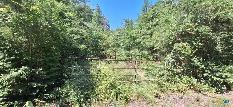 TBD Red Maple Road, Other, TX 75755 - #2