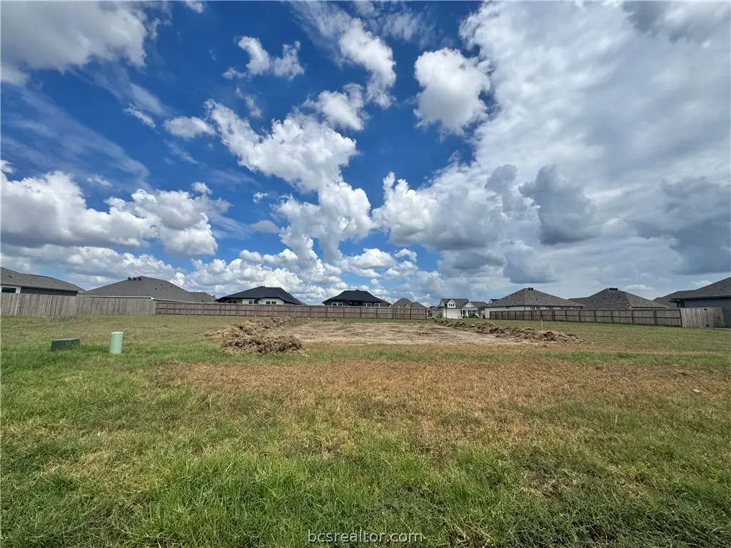 7806 Leadtree Drive, Navasota, TX 77868 - #1