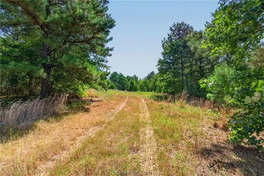 10877 Fm 1972, Gilmer, TX 75645 - #3