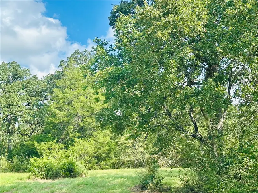 10559 Hampton Court, Iola, TX 77861 - #2