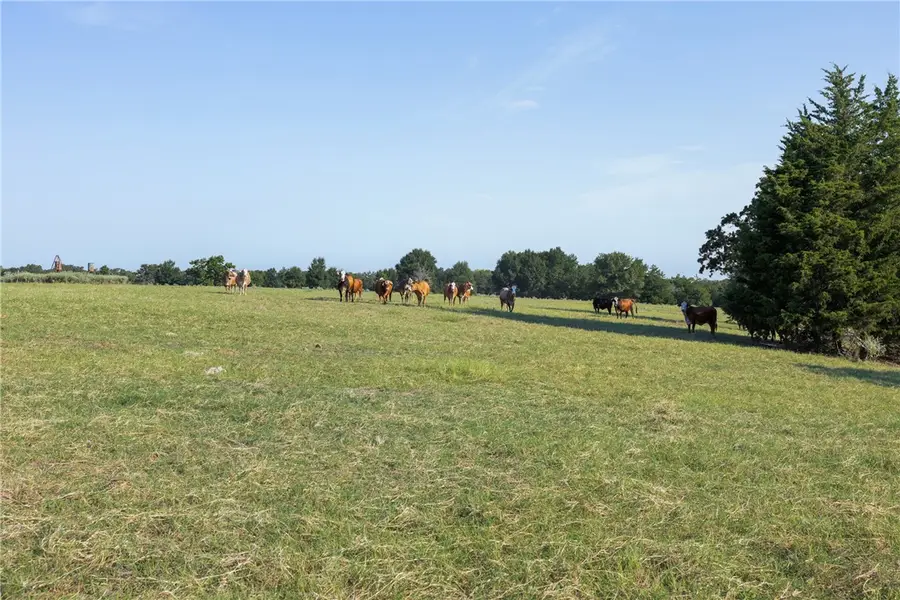 11789 2095, Gause, TX 77857 - #2