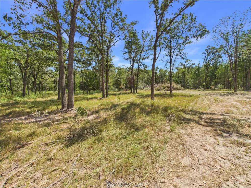.57 Acres S Berry Ridge, Caldwell, TX 77836 - #1