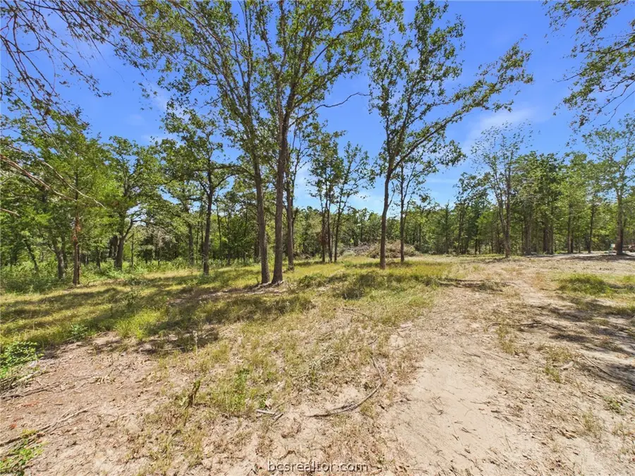 .57 Acres S Berry Ridge, Caldwell, TX 77836 - #2
