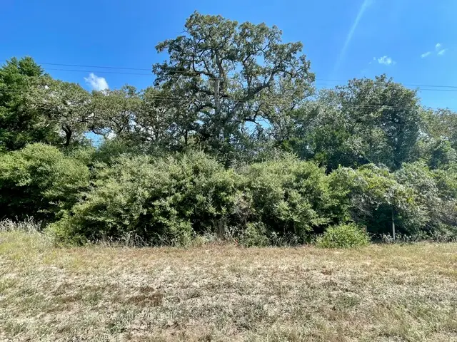 TBD Park Rd 57, Somerville, TX 77879 - #3